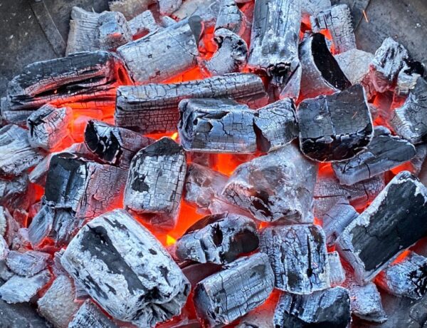 GRILLEP suuretükiline grillsüsi TAMM 6kg (FSC 100%) - Kuva 2